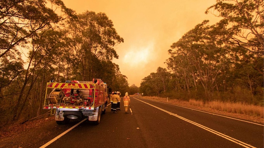 Firefighters walk beside a fire truck in a bushy area.