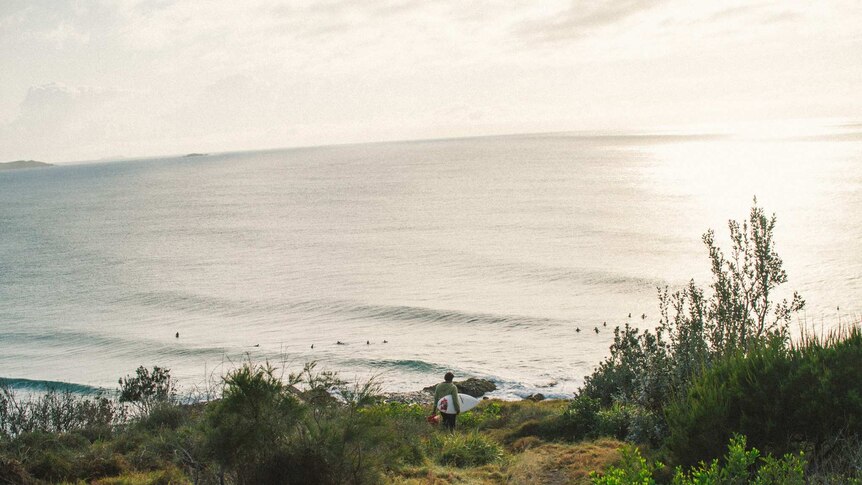 Surfers lining up at Sawtell.