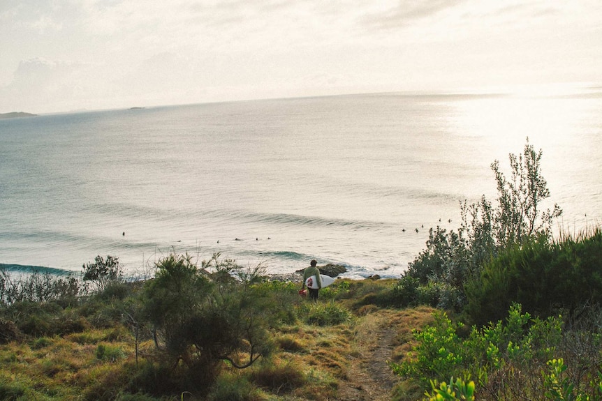 Surfers lining up at Sawtell.