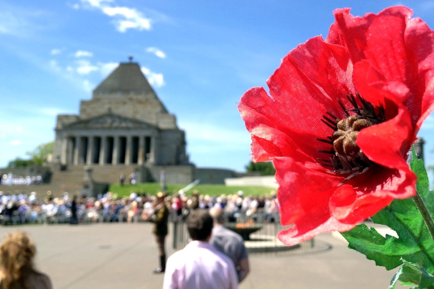 A poppy sits in front of the War Memorial in Melbourne on Remembrance Day.