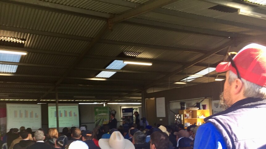 A crowd of grain growers sit in a shed, watching presentations from NSW DPI and researchers.