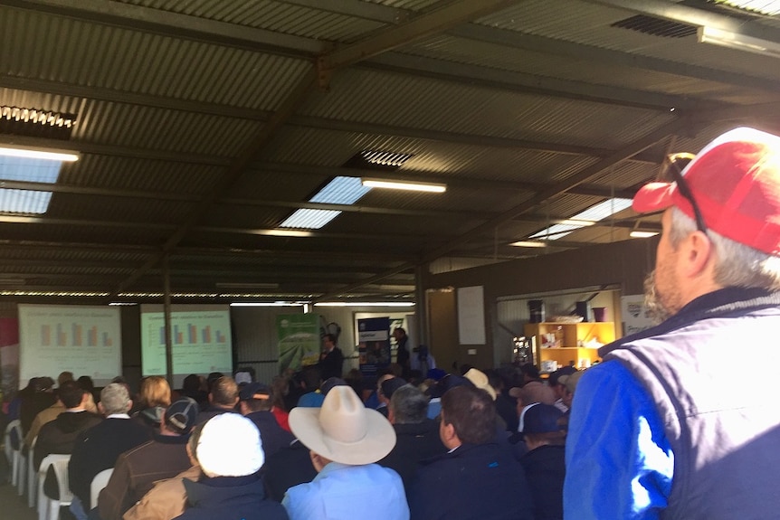 A crowd of grain growers sit in a shed, watching presentations from NSW DPI and researchers.