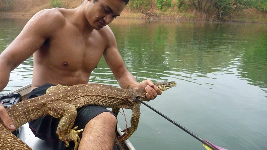 The goanna was shot by an arrow