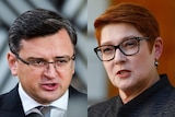 Two close ups of Ukraine and Australia foreign ministers.