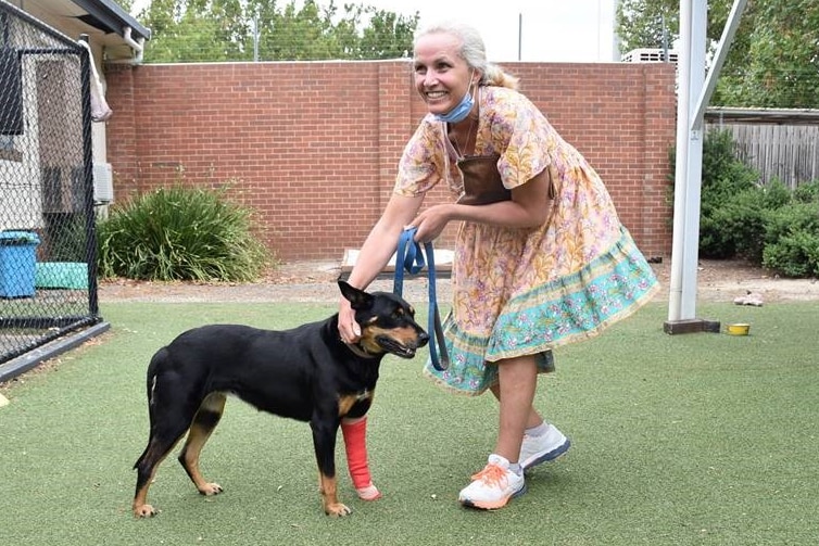 Woman and dog