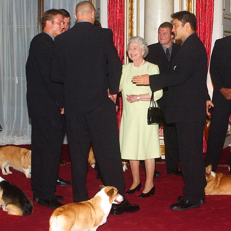 Queen with Corgis