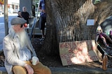 Stylish elderly man drinks coffee under the shade of the Church Street camphor laurel tree