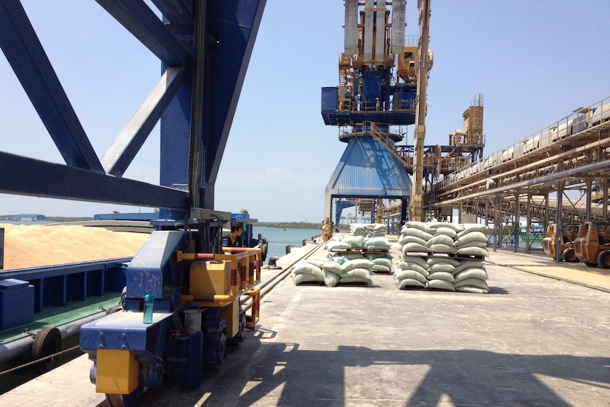 Wheat loading in Vietnam