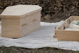 An unpolished wooden coffin with lid sits on the ground with grass visible in background.