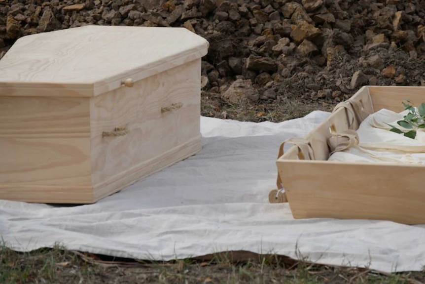 An unpolished wooden coffin with lid sits on the ground with grass visible in background.