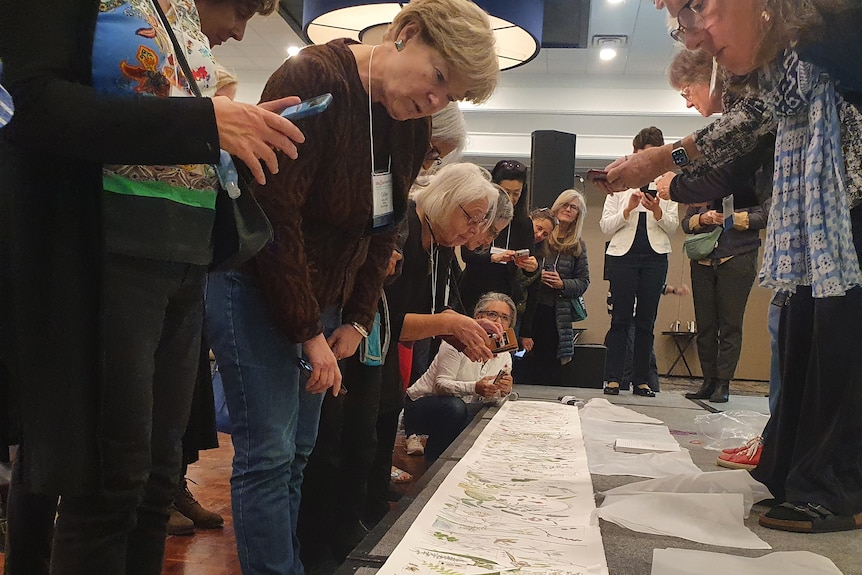 A group of people surrounding an eight-metre-long scroll with drawings of flora.