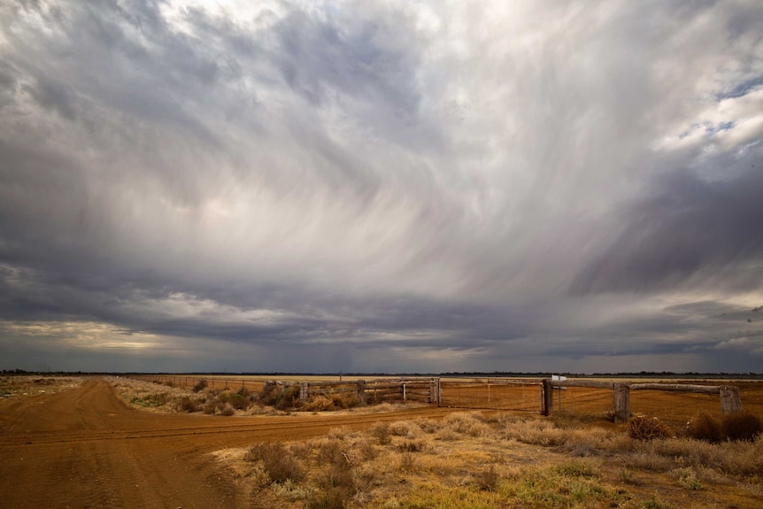 Hay Plain rain