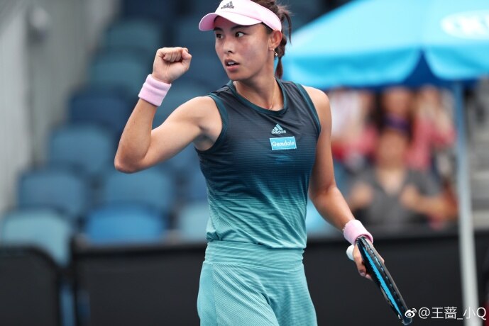 Chinese tennis player wang qiang