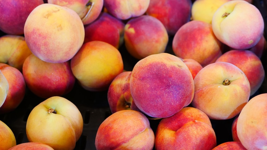 A close up shot of peaches 