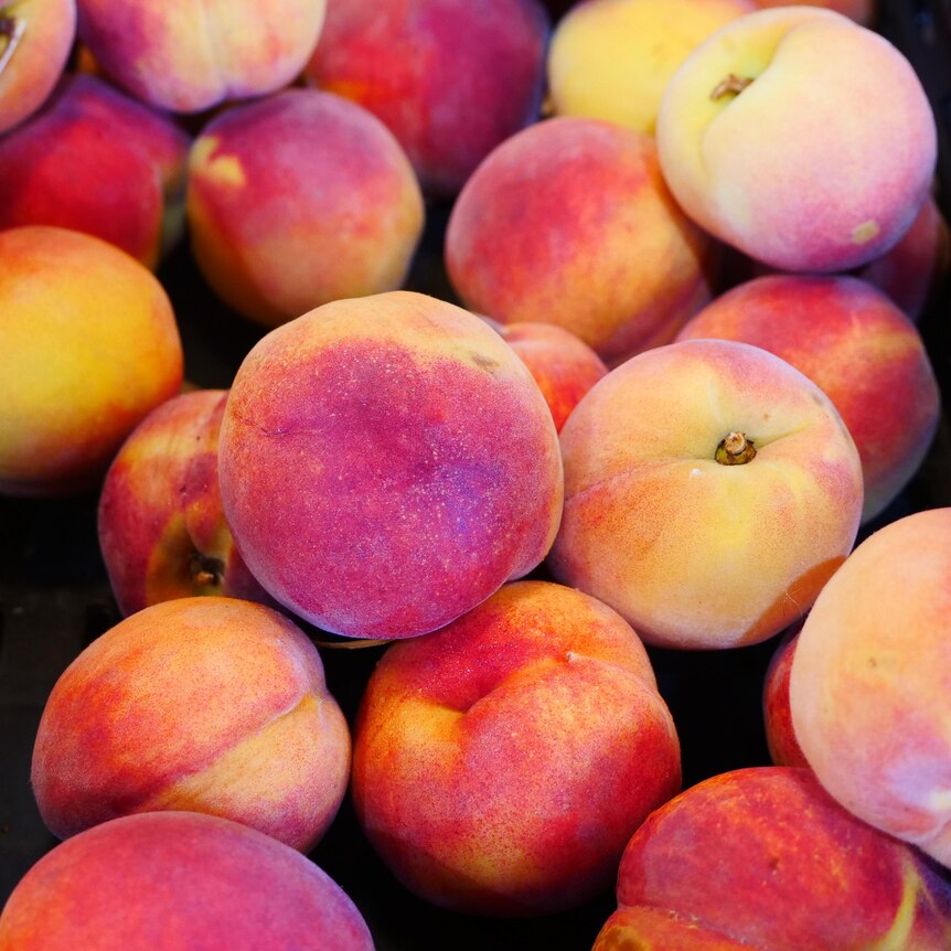 A close up shot of peaches 