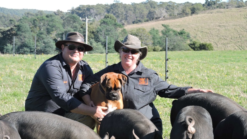 Daniel and Kim Croker from Fork it Farm with some of their Berkshire pigs.