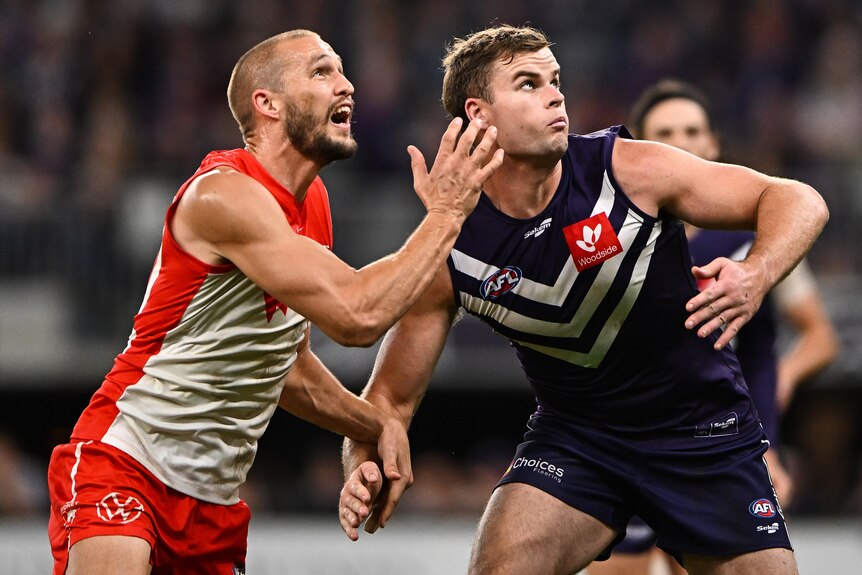 A Sydney Swans AFL player pushes against a Fremantle opponent as they contest for the ball.