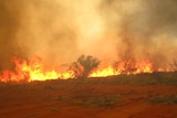 People living in bush areas are advised to review their fire plans.