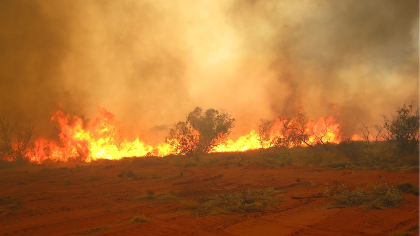 People living in bush areas are advised to review their fire plans.