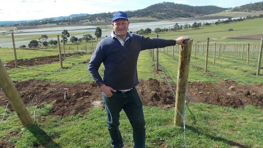 A farmer standing at the top of his new vineyard on the wool producing farm at Richmond