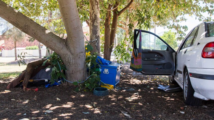 A car is parked under a tree in a park with items on the ground next to it.