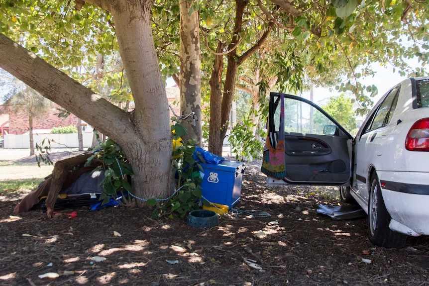 A car is parked under a tree in a park with items on the ground next to it.