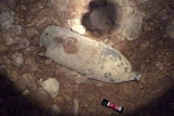 WWII bomb found at Darwin construction site