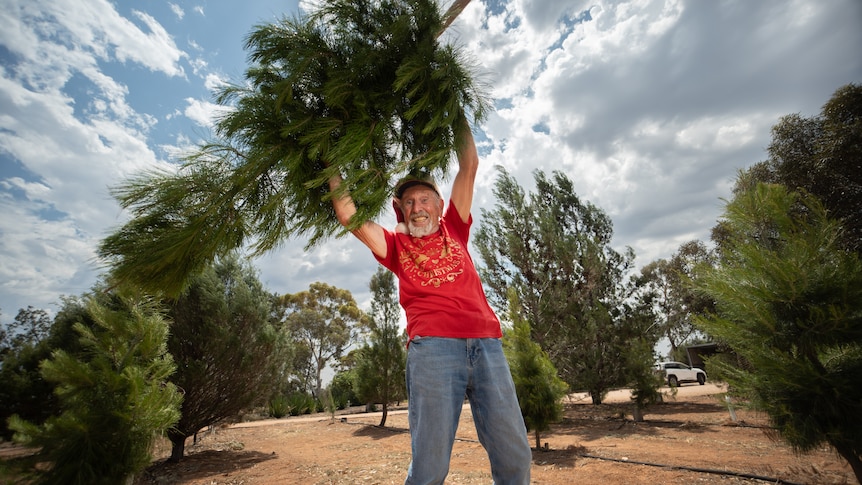 An older man, Ed, makes a funny face while he strikes a pose in a red christmas shirt with a christmas tree.