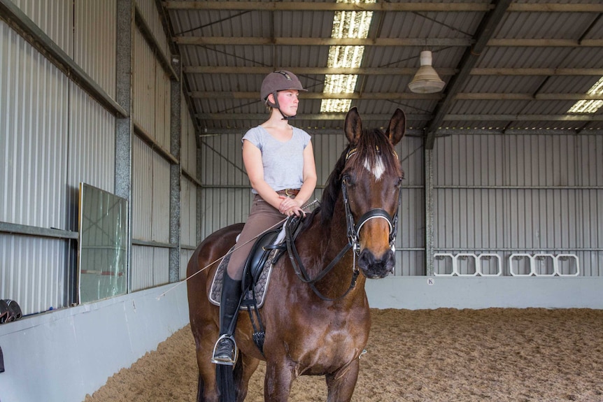 A rider sits on a horse.