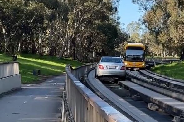 A car drives on a busway while a bus goes in the opposite direction