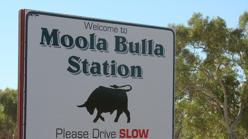 Moola Bulla