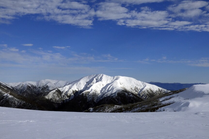 A snow-topped mountain is seen in the distance under a blue sky.
