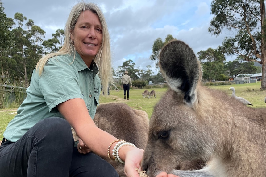 Jacqui Laning feeds a kangaroo