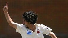 Jason Gillespie of South Australia celebrates a Victorian wicket at Junction Oval