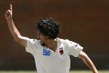 Jason Gillespie of South Australia celebrates a Victorian wicket at Junction Oval