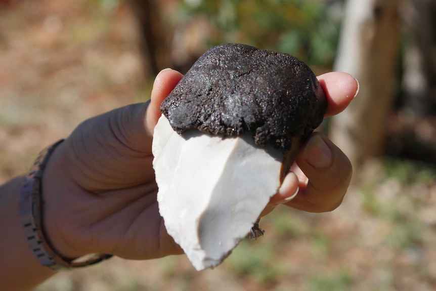 A hand holds a stone tool with dark resin coating over the top.