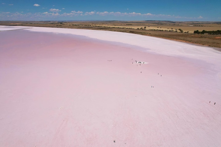 A pink lake drone picture.