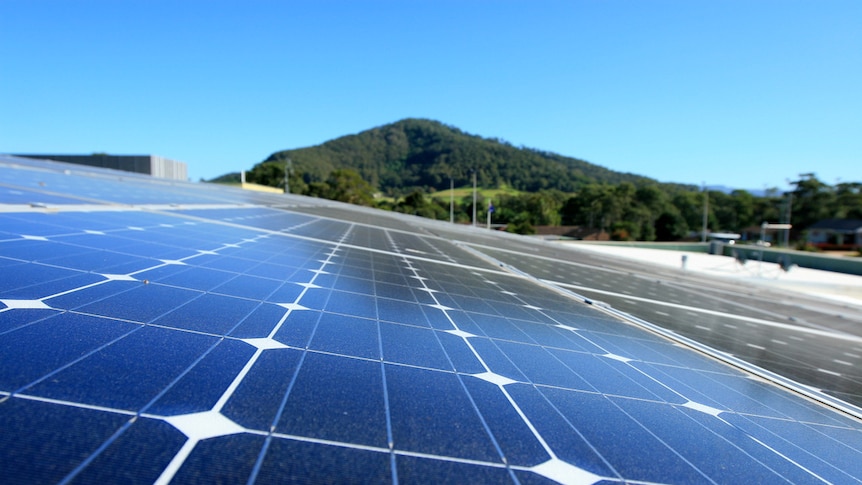 A row of solar panels, with a large, bushy hill in the distance.