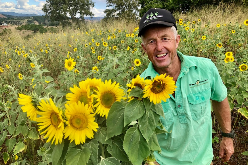 John holding up a bunch of sunflowers in the sunflower field. So beautiful.