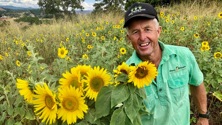 John holding up a bunch of sunflowers in the sunflower field. So beautiful.