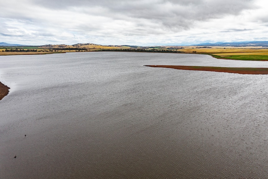 A large storage dam stretches into the distance, yellow canola crops can be seen on the far side. 
