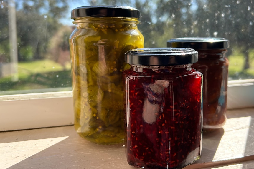 Three jars of colourful homemade preserves sit on a sun-drenched windowsill.