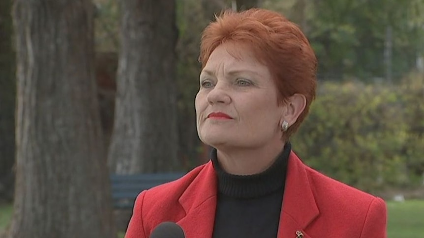 Pauline Hanson says people in the Sydney suburb of Hurstville feel they have been "swamped by Asians".
