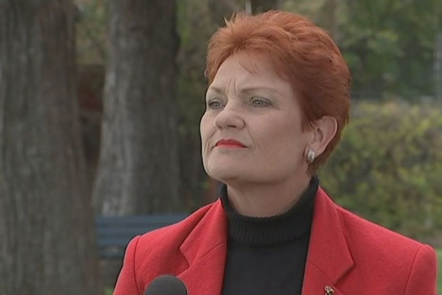 Pauline Hanson will call for a royal commission into the banking sector as her first priority
