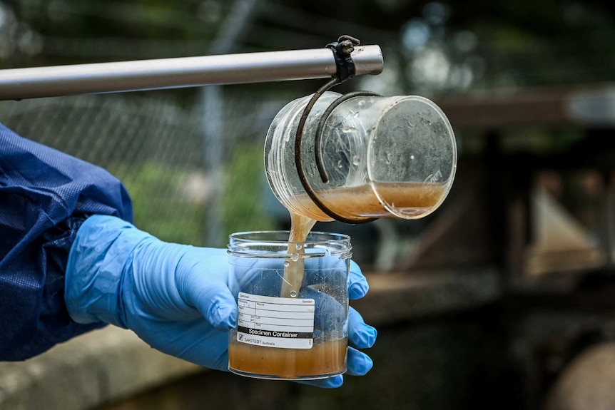 Raw sewage is poured from one jar into another.
