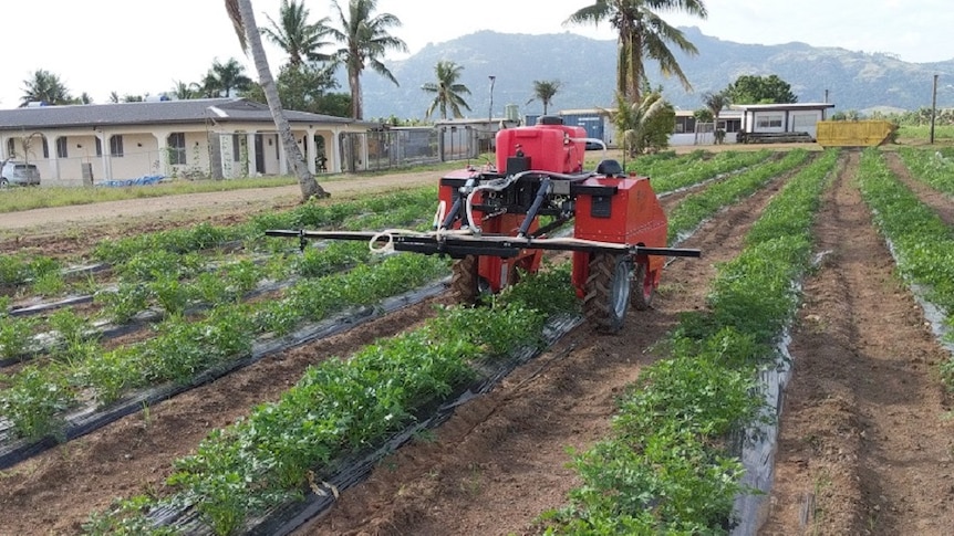 Farm robot during field trial testing out spray mechanism on Fijian crop