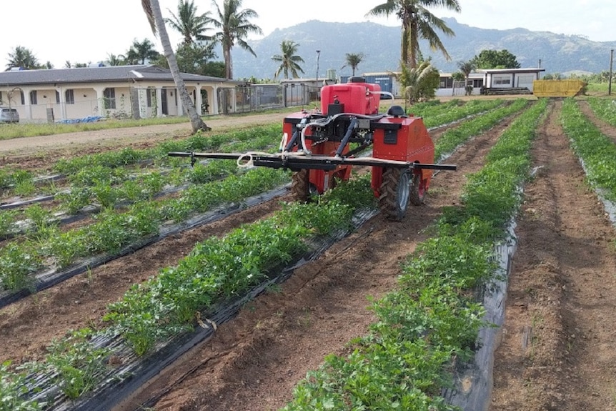 Farm robot during field trial testing out spray mechanism on Fijian crop