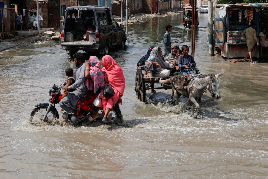 a family on a motorbike and people on a cart drawn by a donkey travel down a street in knee deep water.