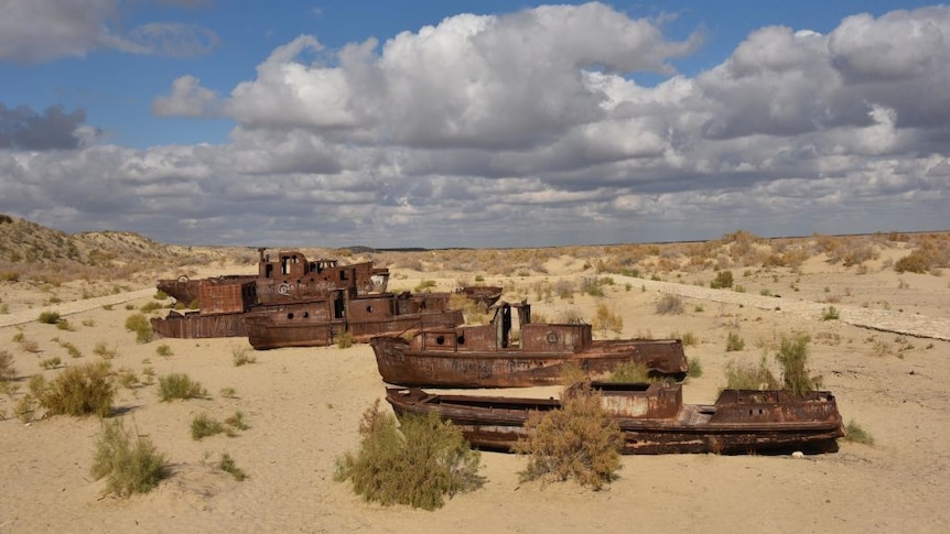 rusty ships lie in a sandy desert 