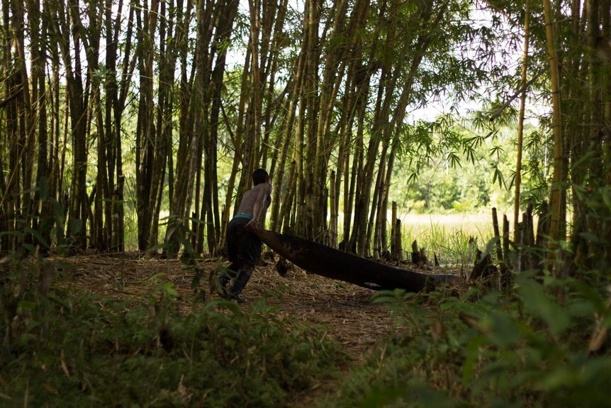A Murui man pushes a handmade canoe across the ground to reach the nearest river.